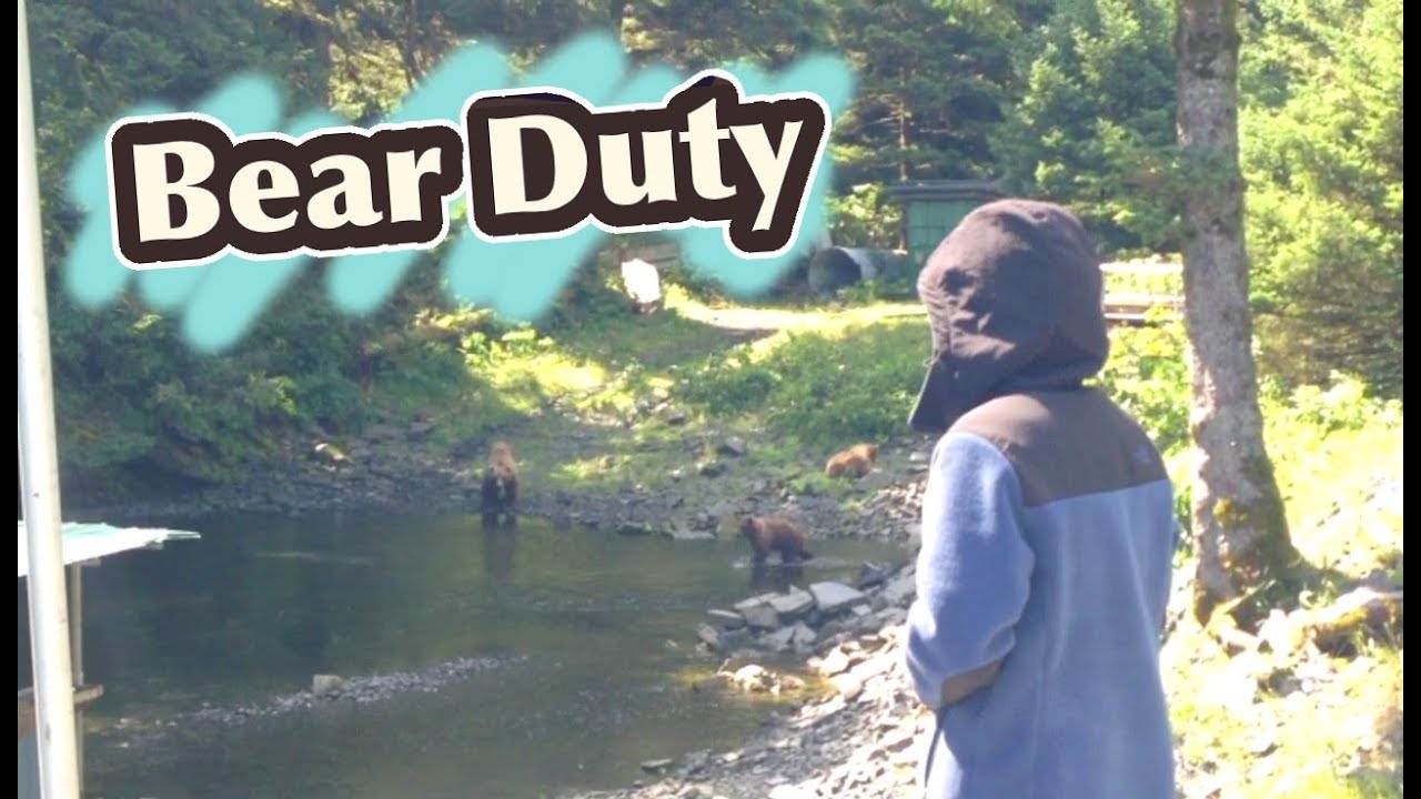 We're Paid to Throw Rocks at Bears YouTube