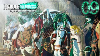 Hyrule Warriors Age of Imprisonment - The King & His Army