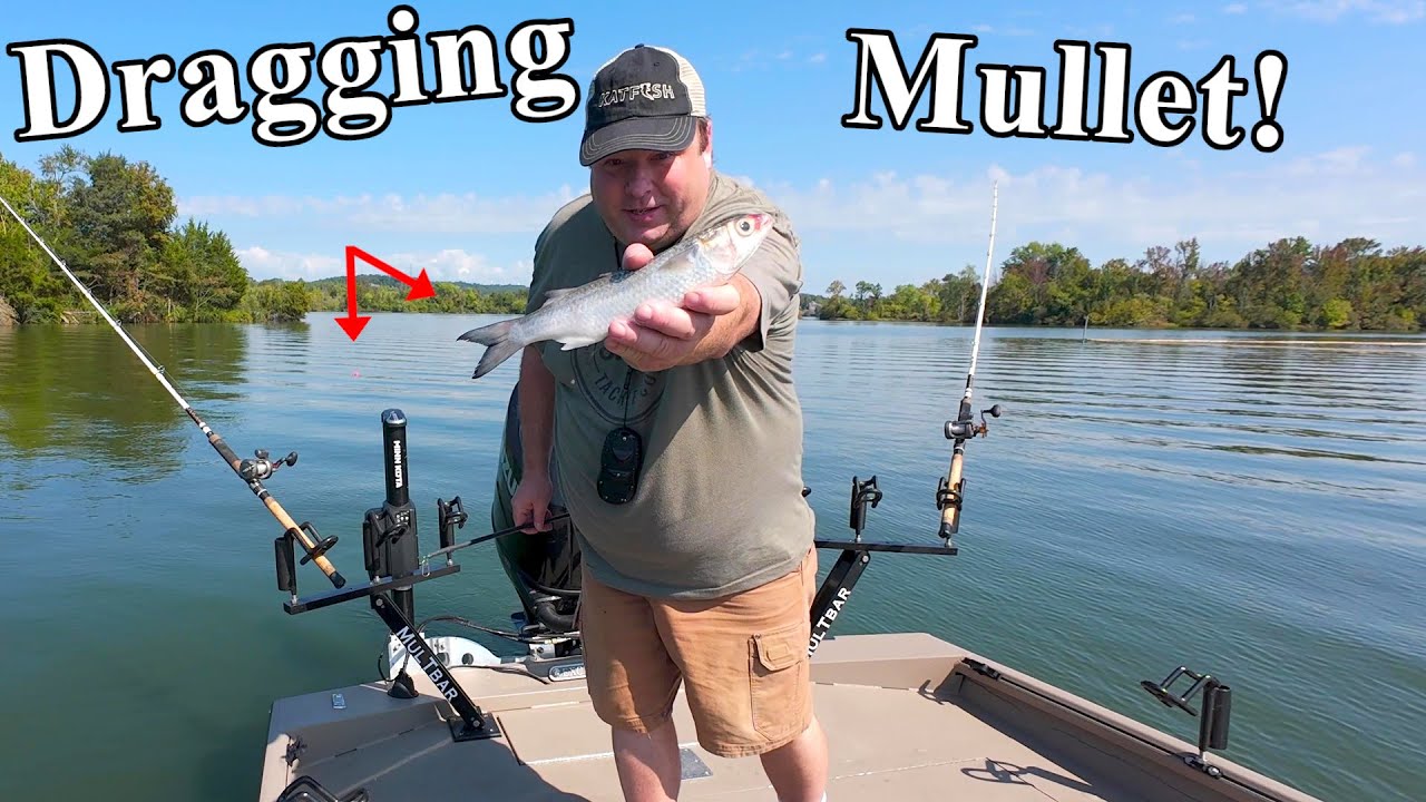 Dragging For Catfish With Mullet And Looking For A Good Time!!! YouTube
