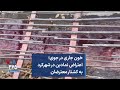 خون جاری در جوی اعتراض نمادین در شهرکرد به کشتار معترضان 