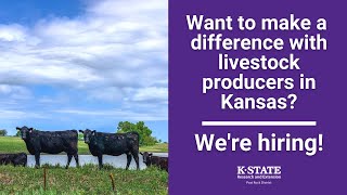 Career Opportunity with K-State Research and Extension's Post Rock District in North Central Kansas