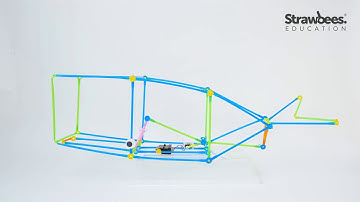 Construct a Whale (micro:bit) by Strawbees