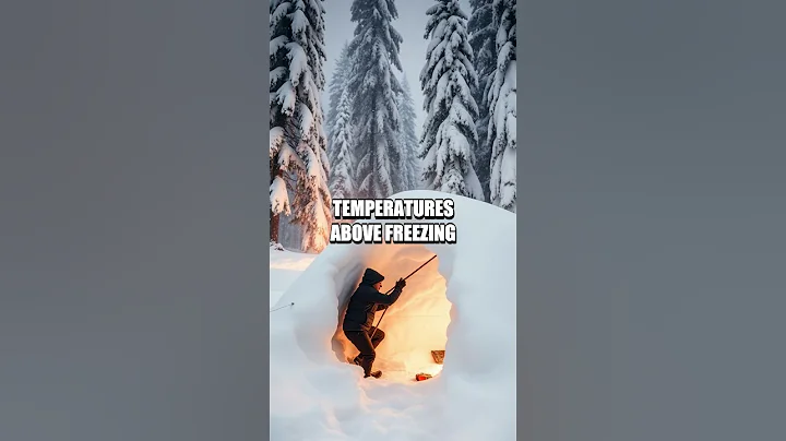 Mastering Survival Skills in Cold Environments
