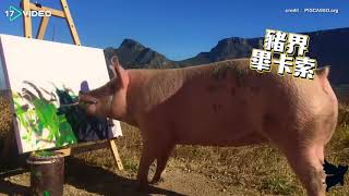 豬界畢卡索！這隻豬の真跡價值七萬台幣- 17提供最新最夯的即時影音