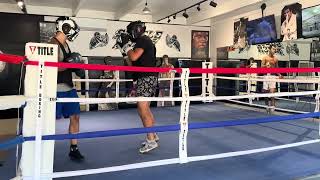 STEELEBOXER GYM ONLINE BOXING/KICKBOXING TRAINING PROGRAM www.steeleboxer.com