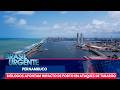 Porto pode ser responsável por aumento de ataques de tubarões em PE | Brasil Urgente
