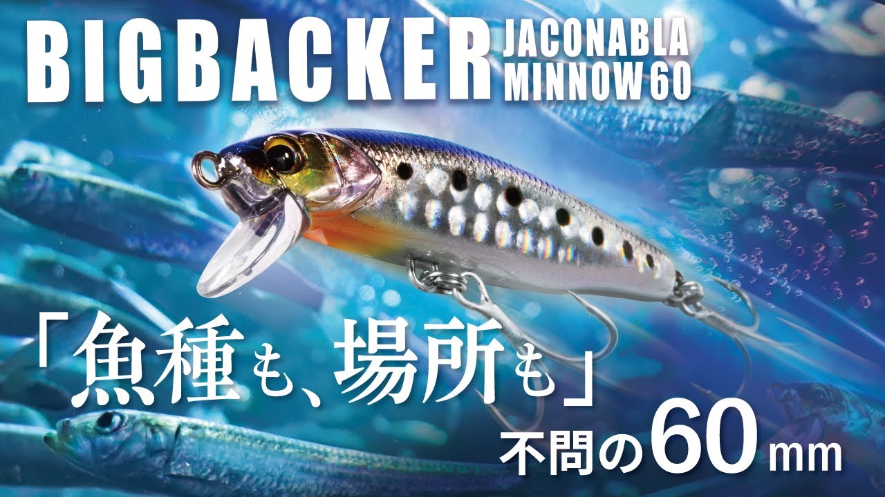 ジャッカル ビッグバッカー アンチョピード 60 JACKALL BIGBACKER ANCHOPEED -  【バス＆ソルトのルアーフィッシング通販ショップ】BackLash／バックラッシュ｜Japanese fishing tackle｜ルアー/釣具通販