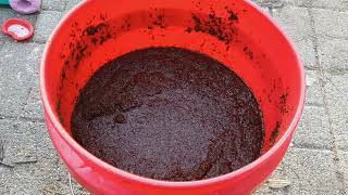 COCO COIR MISTAKES | HOW TO GROW | KNOWLEDGE WISDOM UNDERSTANDING #plantcare #cannabiseducation