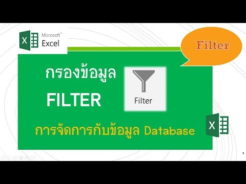 Filter กรองข้อมูลใน Excel , กรองตัวเลข, สีพื้น, สีข้อความ