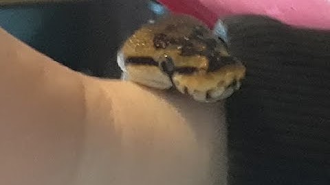 FTL tutorial, first 2 sectors.