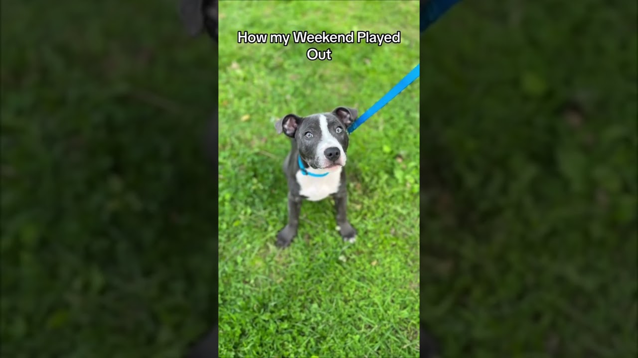 Happy Humpday, I’m excited for the weekend already! 