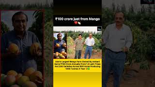 Mango Empire Of Ambanimukesh Ambanis 600-Acre Orchard In Jamnagar, Called Dhirubhai Ambani