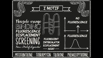 Dr Zoe Waller UEA Research: Identification of new DNA i-motif binding ligands