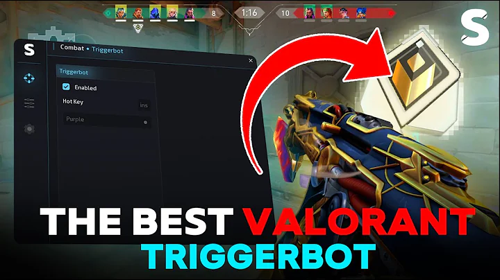 Valorant Triggerbot 2025 | Best Undetected External by Slyzz (Insane Accuracy!)