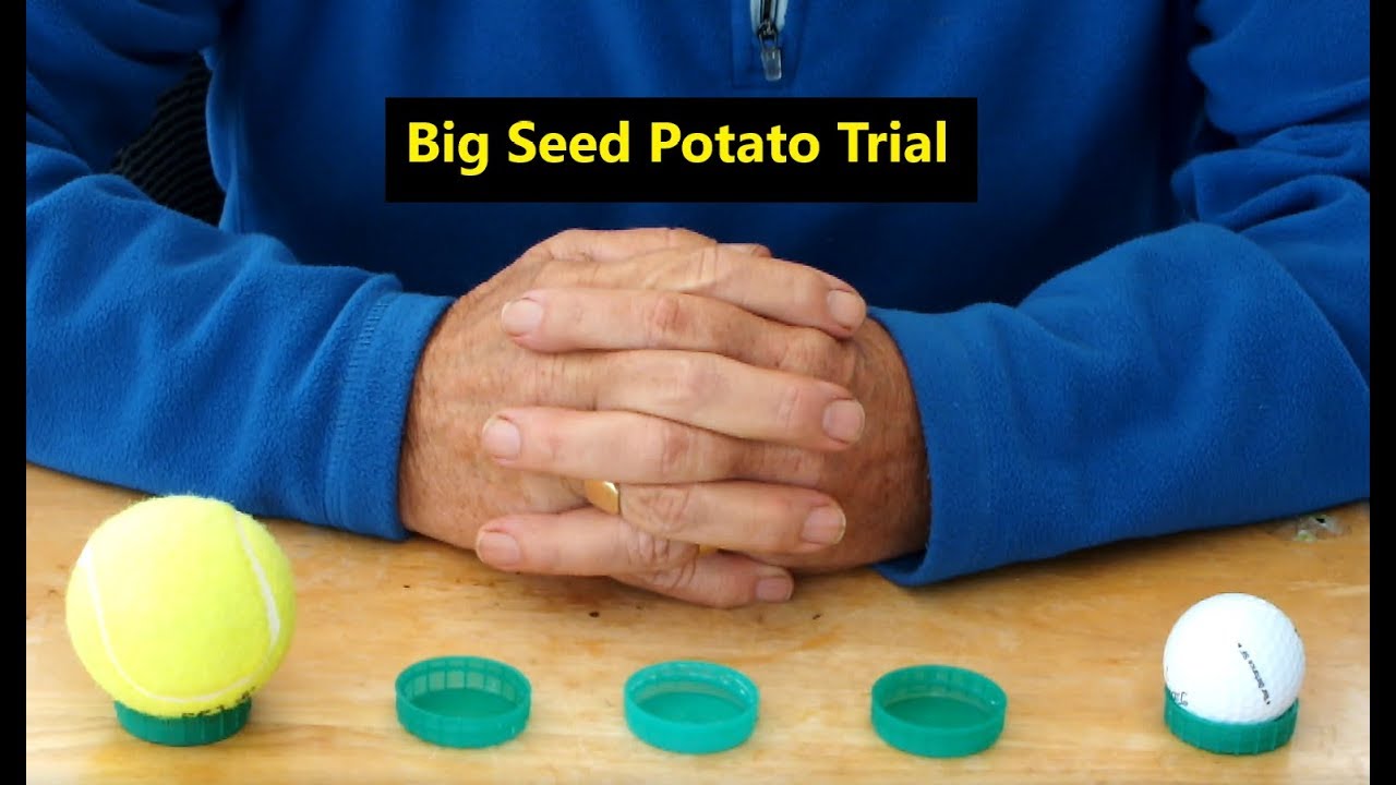 Grow Potatoes 'Big Seed Potato Trial'