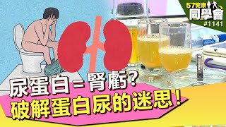 尿蛋白=腎虧破解蛋白尿的迷思【57健康同學會】第1141集 2014年