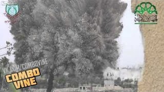 Combo Vine #407