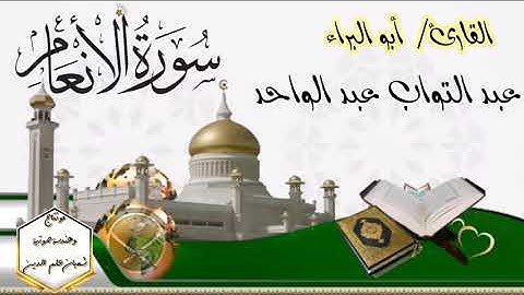 سورة الأنعام كاملة للقارئ/ أبو البراء عبد التواب عبد الواحد