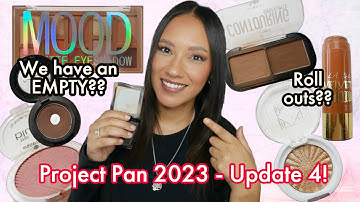 Project Pan 2023 - Update #4 - NEW EMPTY & roll-ins | Zanine Cupido