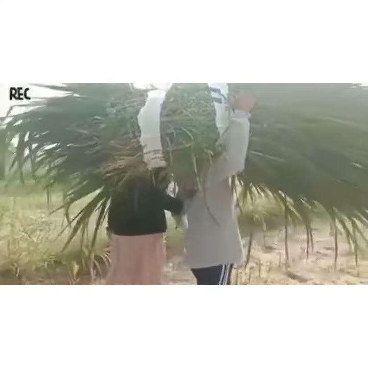 Golek bojo leng ngeneki angel😍💖