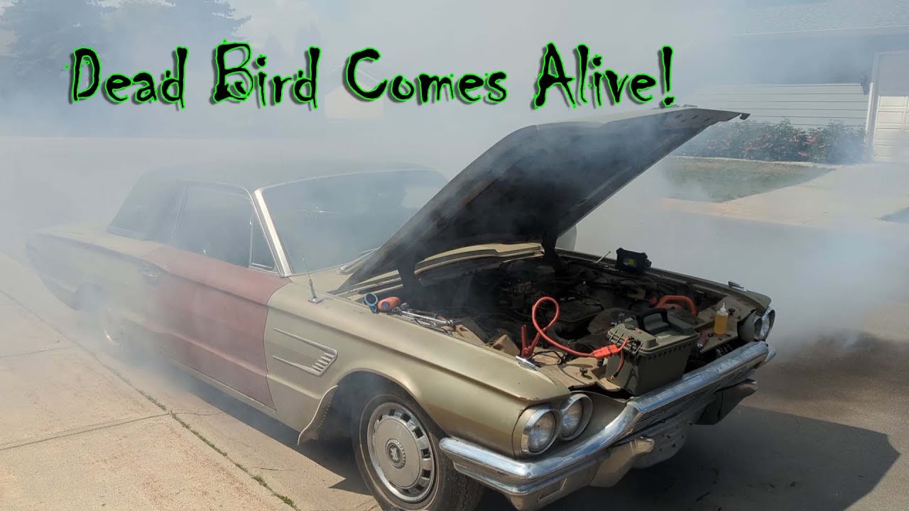 65 Thunderbird Hardtop Arrival & Revival