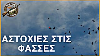 Κυνήγι Φάσσας - Οι αποτυχίες Νο2 | Hunting Woodpigeon | Pigeon Shooting in Cyprus - Our best fails