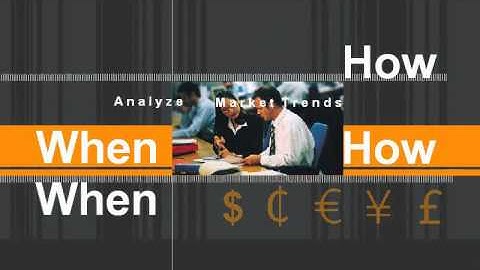 Flash intro animation