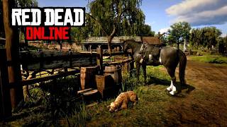 RDO Livestream 2026