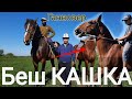 Саяпкердин күлүктөрү САТЫЛЫП КЕТТИ