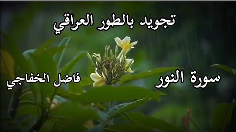 سورة النور - فاضل الخفاجي