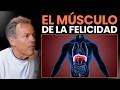 El DIAFRAGMA: El Músculo de la Felicidad y la Energía (Piti Pinsach)