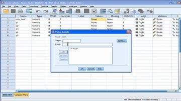 Value Labels - SPSS