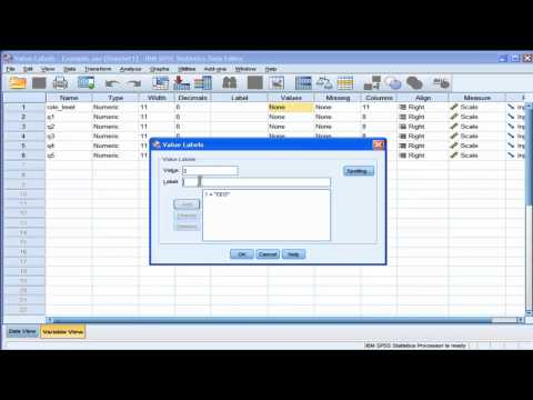 Video: Hoe vul jy data in SPSS in?