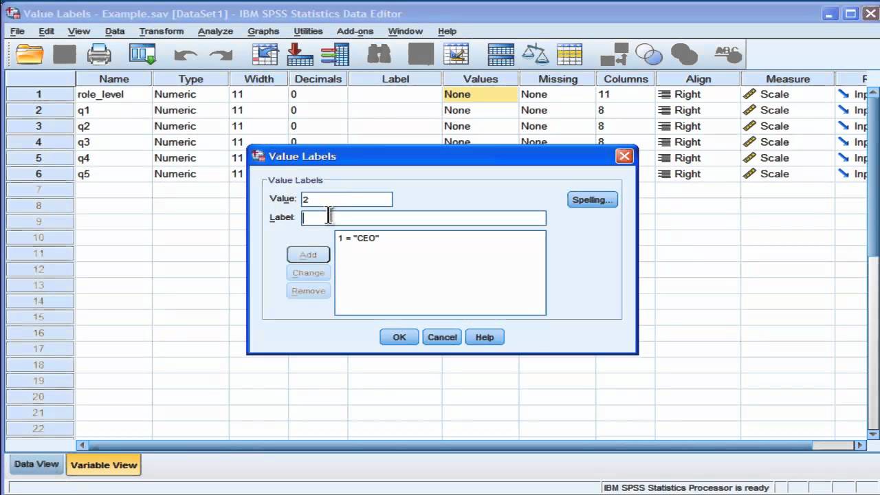 Value Labels - SPSS - YouTube