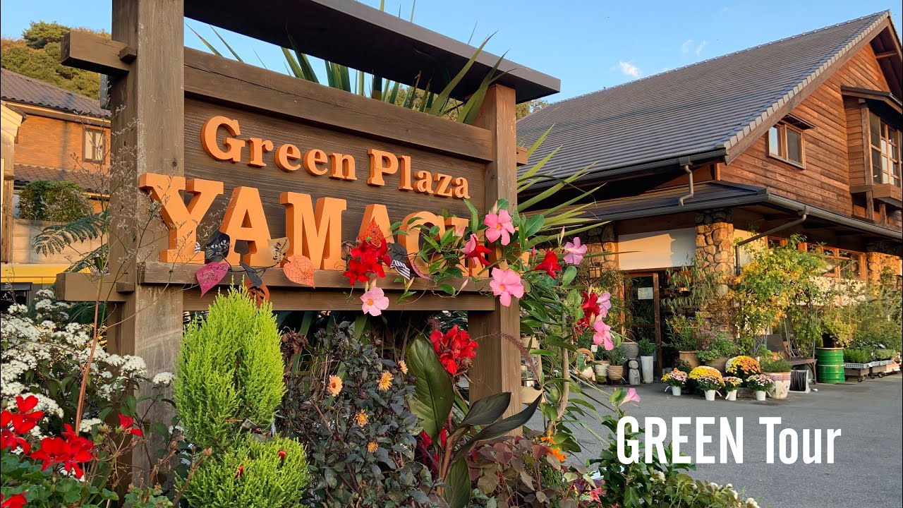 とある植物屋さん 観葉植物】奈良の生駒にあるガーデニングショップ おしゃれなログ