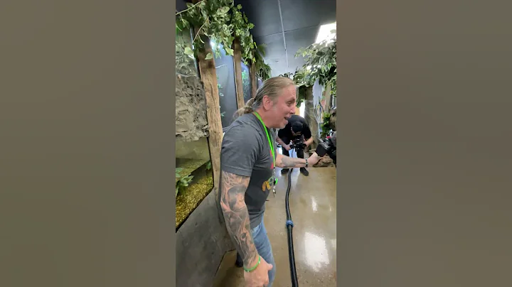 Snake Catches Food in Mid Air