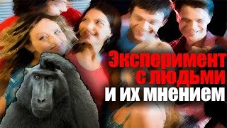Эксперимент с людьми и их мнением Эксперимент с людьми и их мнением