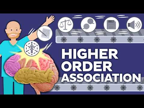 The Most Powerful Part of the Human Brain