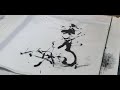 portrait d'artiste Yves DIMIER - peintre calligraphe