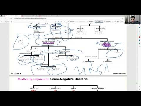 المراجعة الأولى امراض ميكرو اولى تمريض كاملة
