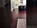 Mr potato is rolling fast