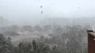 Canton snow winter 2015