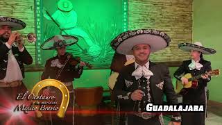 Video thumbnail of "Guadalajara Mariachi 917 648 5843"