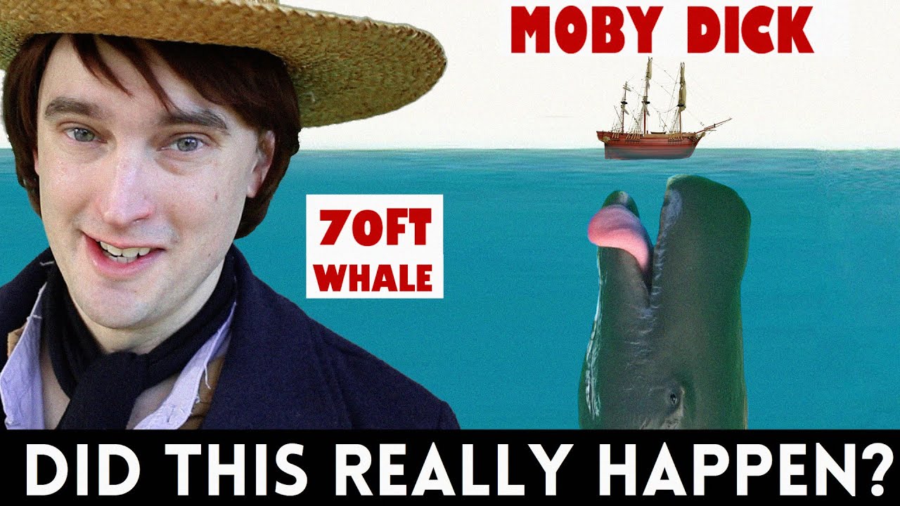 Какие огромные киты вдохновили Моби Дика? Правдивая история Эссекса и Мокко Дика