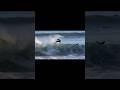 #bodyboard #surf #surfing #waves #surfers #beach #bodyboarding