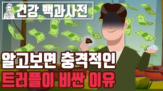 알고보면 충격적인 트러플이 비싼 이유!? 트러플(송로버섯)의 역사 @SEMOJI