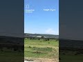 سراة عبيدة المصياد 7 11 1447 اليوم الجمعة 24 أبريل 2026