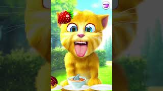 talking ginger funny videos || 🐒🐈😹😻