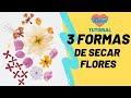 3 Formas de Secar Flores para arte con resina. Super fácil tutorial para hacer tus propias flores