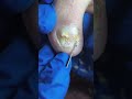 Cute nails satisfying pedicure #nails#satisfying#pedicure